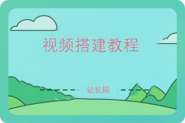 最新Ripro-V5主题授权方法，理论上支持任何WordPress主题
